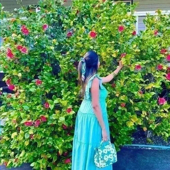 Beautiful Ruffle Maxi  dress - Picture 4 of 4